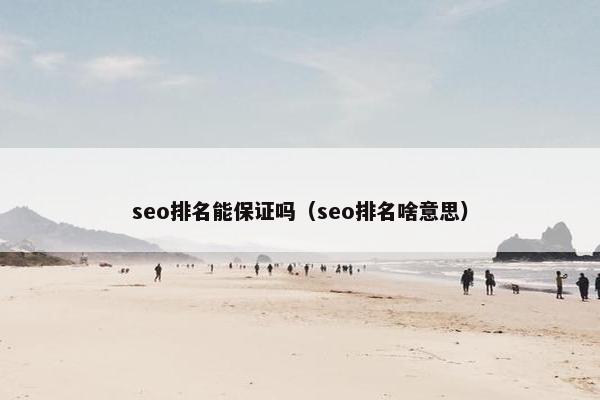 seo排名能保证吗（seo排名啥意思）