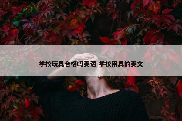 学校玩具合格吗英语 学校用具的英文