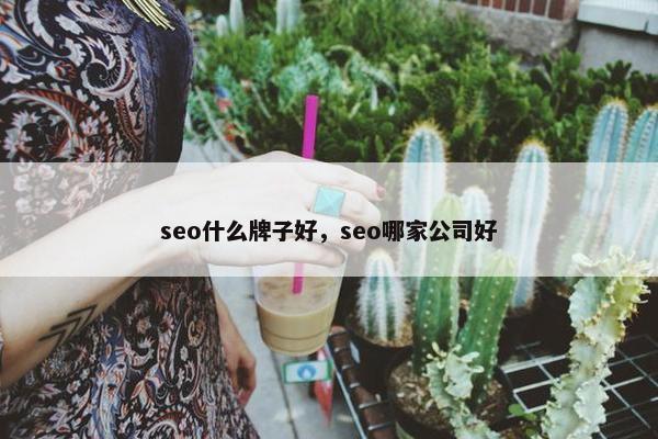 seo什么牌子好，seo哪家公司好