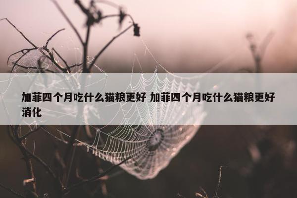 加菲四个月吃什么猫粮更好 加菲四个月吃什么猫粮更好消化