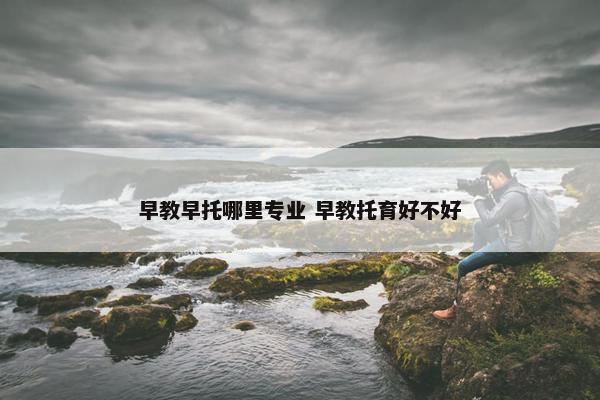 早教早托哪里专业 早教托育好不好