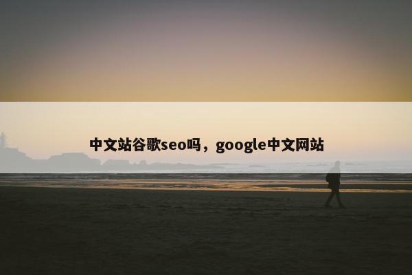 中文站谷歌seo吗，google中文网站