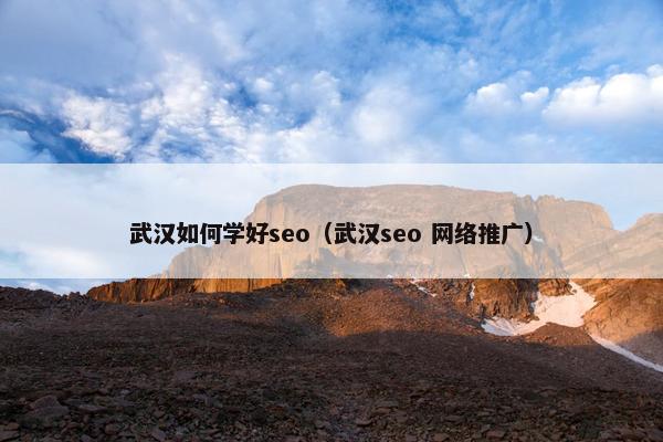 武汉如何学好seo（武汉seo 网络推广）