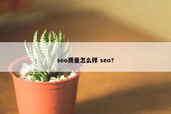 seo质量怎么样 seo?