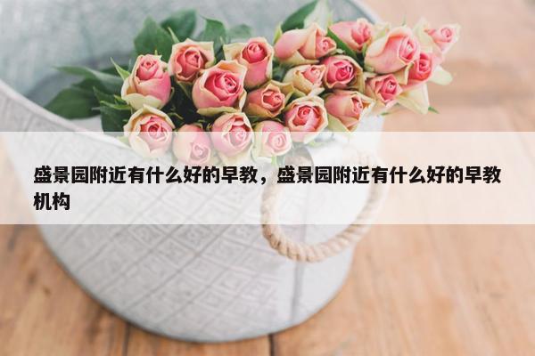 盛景园附近有什么好的早教，盛景园附近有什么好的早教机构