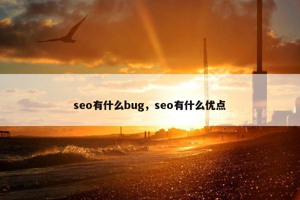 seo有什么bug，seo有什么优点