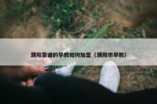 濮阳靠谱的早教如何加盟（濮阳市早教）