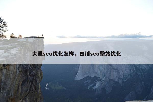 大邑seo优化怎样，四川seo整站优化