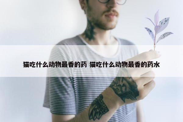 猫吃什么动物最香的药 猫吃什么动物最香的药水