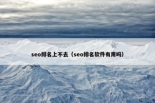 seo排名上不去（seo排名软件有用吗）