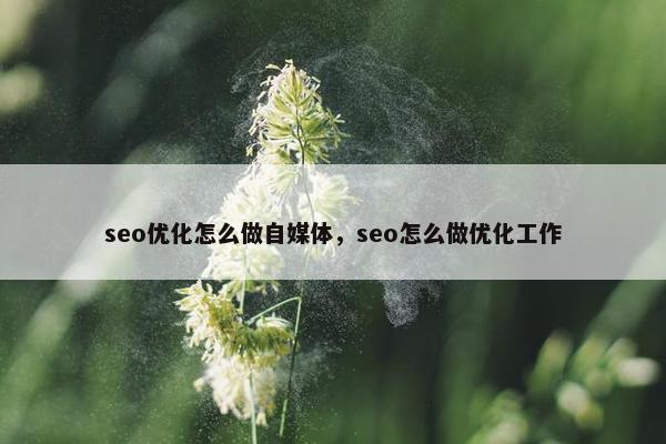 seo优化怎么做自媒体，seo怎么做优化工作