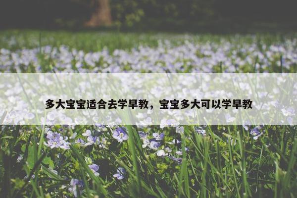 多大宝宝适合去学早教，宝宝多大可以学早教