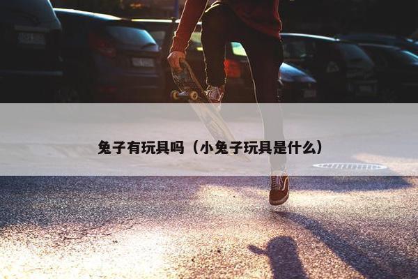 兔子有玩具吗（小兔子玩具是什么）