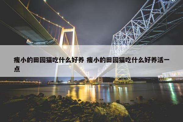 瘦小的田园猫吃什么好养 瘦小的田园猫吃什么好养活一点