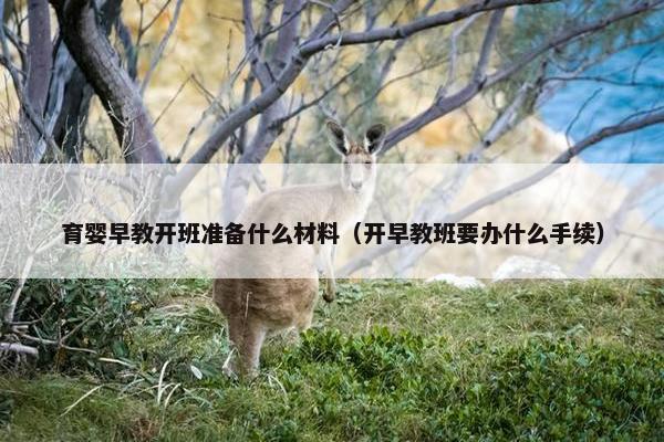 育婴早教开班准备什么材料（开早教班要办什么手续）