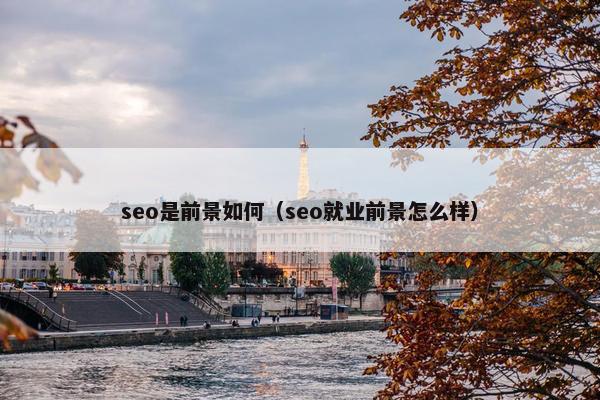 seo是前景如何（seo就业前景怎么样）