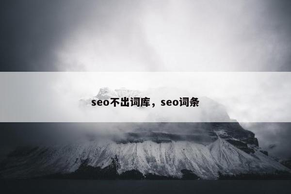 seo不出词库，seo词条