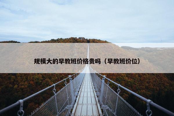 规模大的早教班价格贵吗（早教班价位）