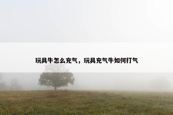 玩具牛怎么充气，玩具充气牛如何打气