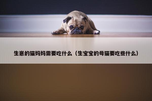 生崽的猫妈妈需要吃什么（生宝宝的母猫要吃些什么）