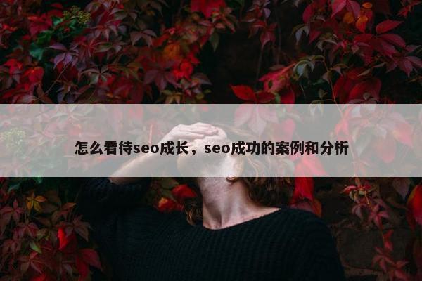 怎么看待seo成长，seo成功的案例和分析