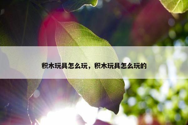 积木玩具怎么玩，积木玩具怎么玩的