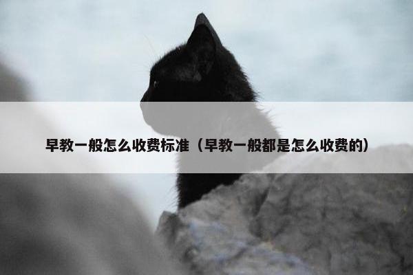 早教一般怎么收费标准（早教一般都是怎么收费的）