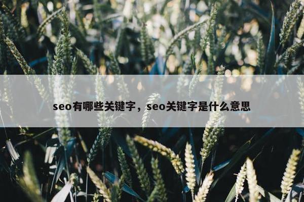 seo有哪些关键字，seo关键字是什么意思