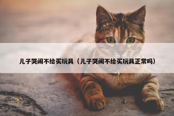 儿子哭闹不给买玩具（儿子哭闹不给买玩具正常吗）