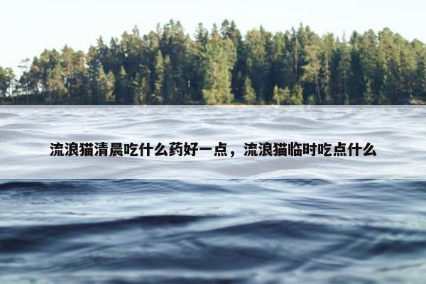 流浪猫清晨吃什么药好一点，流浪猫临时吃点什么