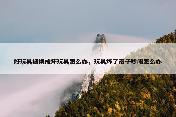 好玩具被换成坏玩具怎么办，玩具坏了孩子吵闹怎么办