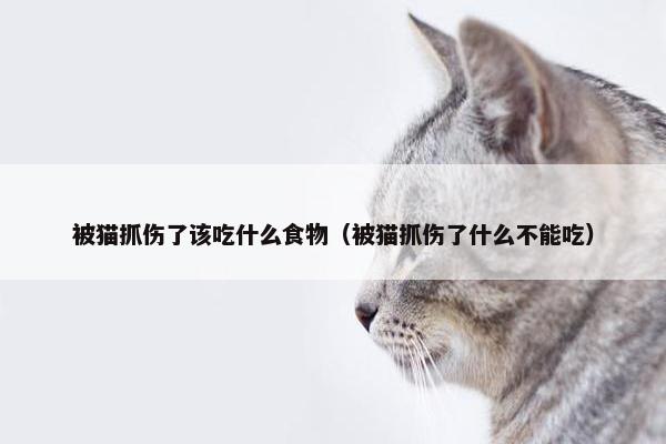 被猫抓伤了该吃什么食物（被猫抓伤了什么不能吃）