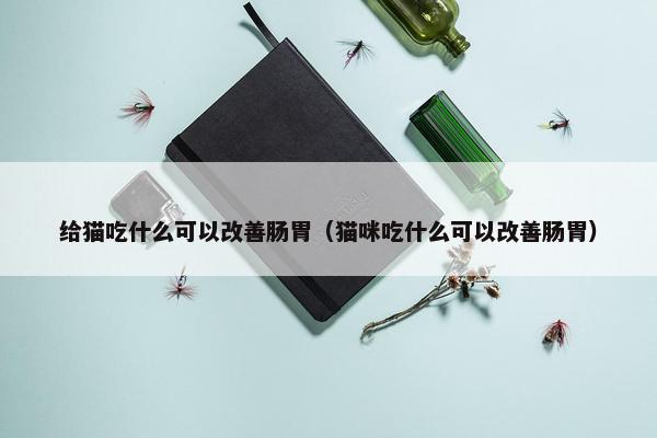 给猫吃什么可以改善肠胃（猫咪吃什么可以改善肠胃）