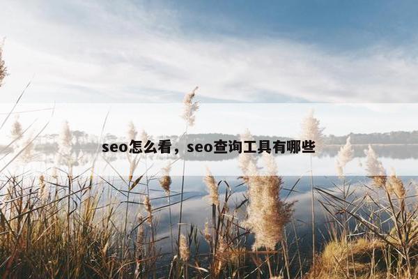 seo怎么看，seo查询工具有哪些