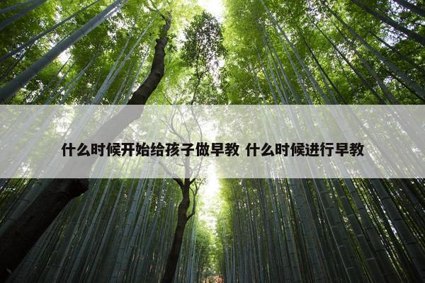 什么时候开始给孩子做早教 什么时候进行早教