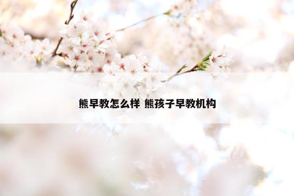 熊早教怎么样 熊孩子早教机构