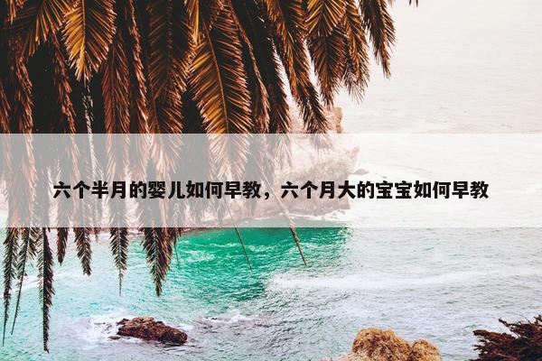 六个半月的婴儿如何早教，六个月大的宝宝如何早教