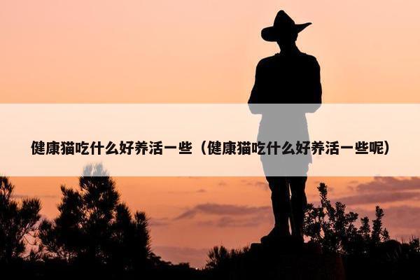 健康猫吃什么好养活一些（健康猫吃什么好养活一些呢）