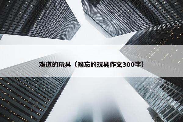 难道的玩具（难忘的玩具作文300字）