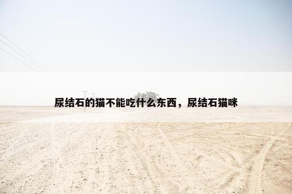 尿结石的猫不能吃什么东西，尿结石猫咪