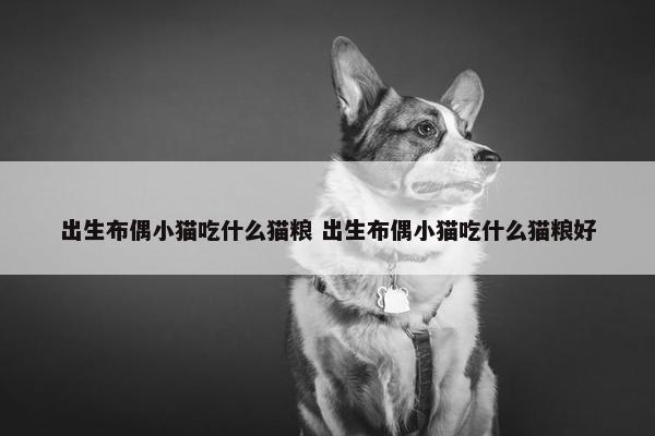 出生布偶小猫吃什么猫粮 出生布偶小猫吃什么猫粮好