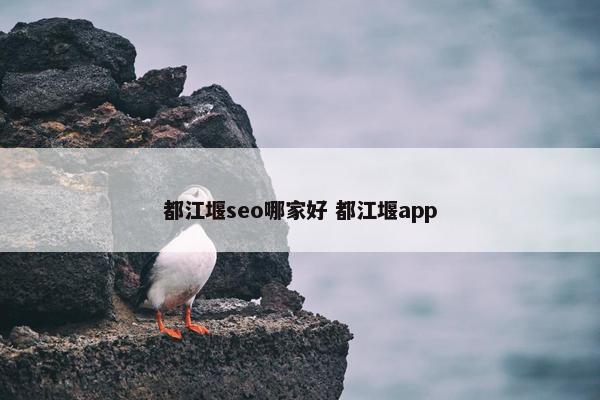 都江堰seo哪家好 都江堰app