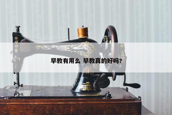 早教有用么 早教真的好吗?