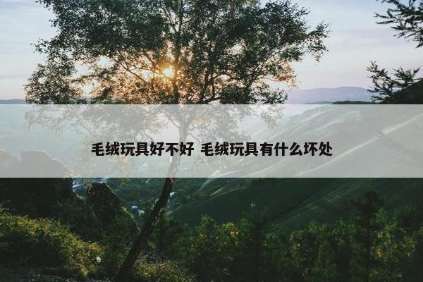 毛绒玩具好不好 毛绒玩具有什么坏处