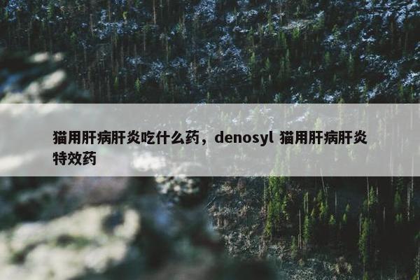 猫用肝病肝炎吃什么药，denosyl 猫用肝病肝炎特效药