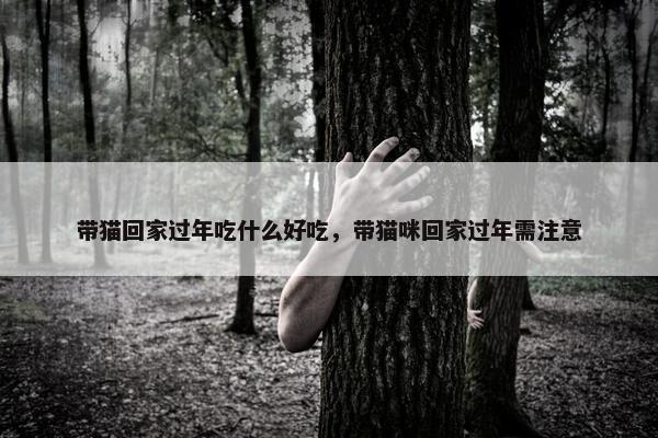 带猫回家过年吃什么好吃，带猫咪回家过年需注意