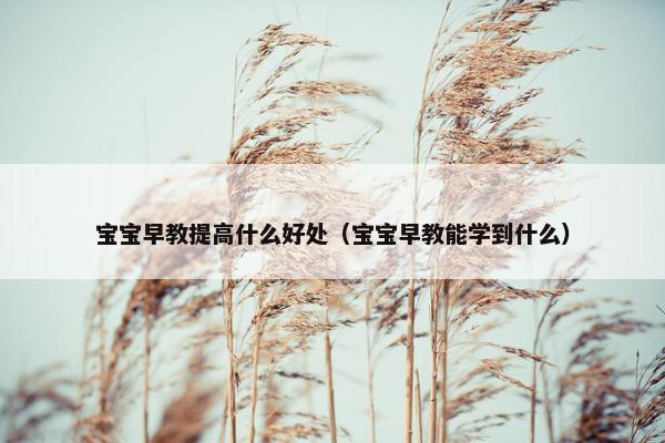 宝宝早教提高什么好处（宝宝早教能学到什么）