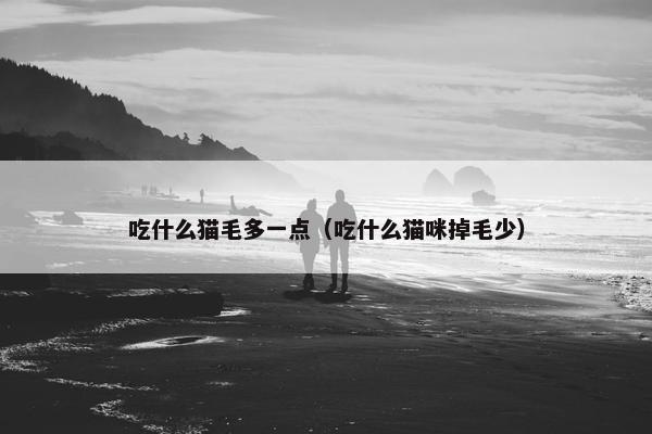 吃什么猫毛多一点（吃什么猫咪掉毛少）