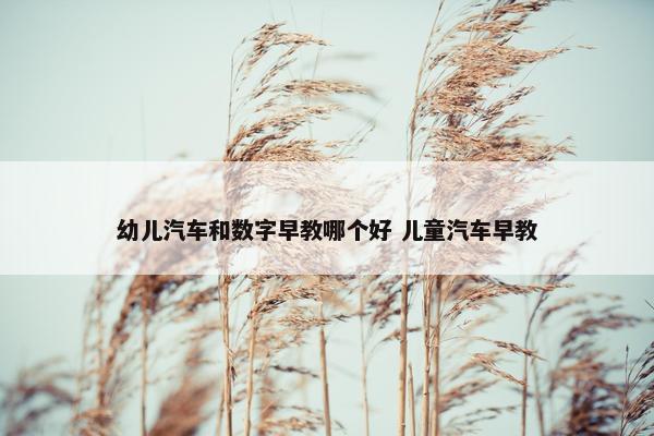 幼儿汽车和数字早教哪个好 儿童汽车早教