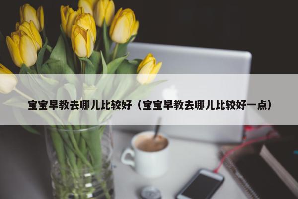 宝宝早教去哪儿比较好（宝宝早教去哪儿比较好一点）